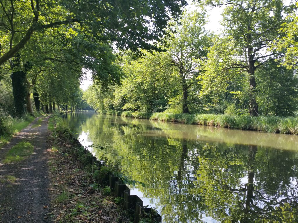 Jaagpad langs de Moezel 